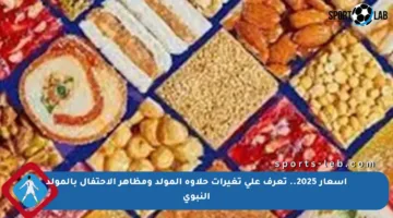 أسعار 2025.. تعرف على تغيرات حلاوة المولد ومظاهر الاحتفال بالمولد النبوي